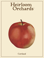 Cortland